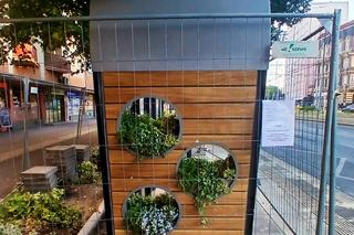 Zielone przystanki na al. Wyzwolenie