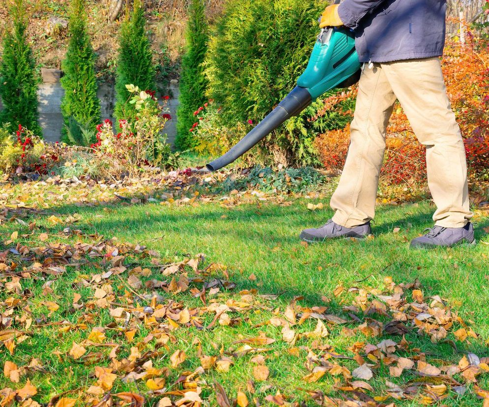 Jak wybrać dobrą dmuchawę do liści?