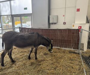 ZooPark w Lublinie. Dzień drugi