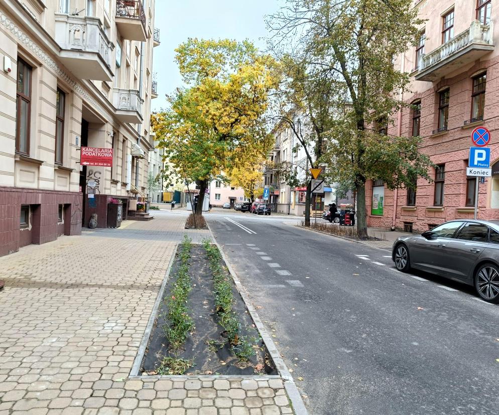 Zielone zmiany na ul. Sądowej w Lublinie 