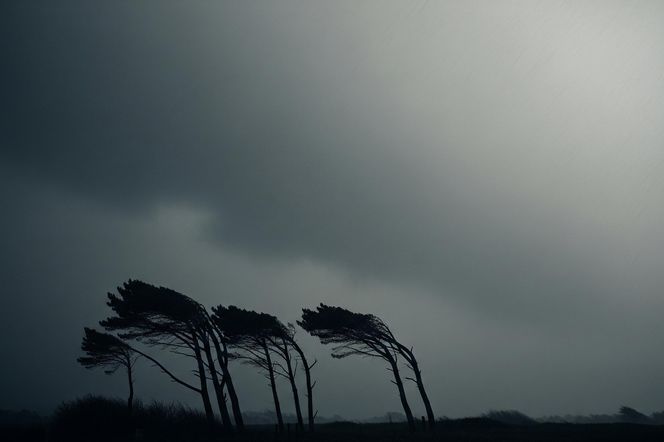 Potężne wichury nad morzem! IMGW bije na alarm, wydano czerwone alerty
