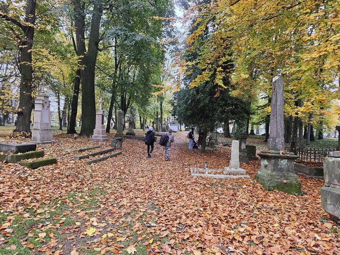 Jak wygląda najstarszy cmentarz w Rzeszowie przed 1 listopada