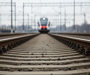 Nowe pociągi dla Wielkopolski. Samorząd planuje zakup nawet 20 składów