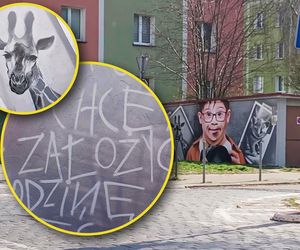 Chłopiec z aparatem i ukryte marzenia. W Szczecinie powstał mural z bardzo ważnym przesłaniem