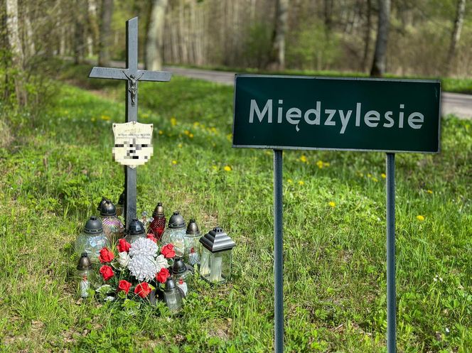 Mroczna tajemnica lasu pod Olsztynem. Bestialski mord konwojentów