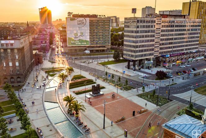 Katowice: Palmy, sztuczna Rawa, rynek