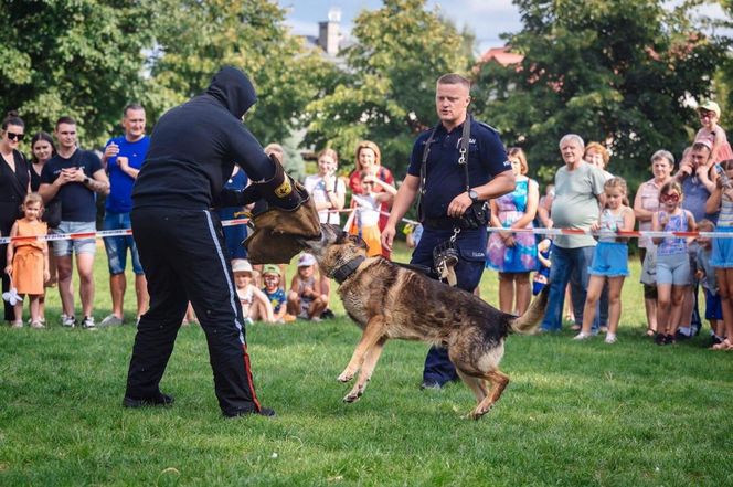 Policjanci dał dom psim emerytom