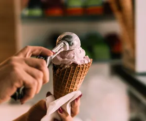 Sprzedaje lody o smaku świerszczy. „Mam klientów, którzy codziennie przychodzą po gałkę świerszczowych”