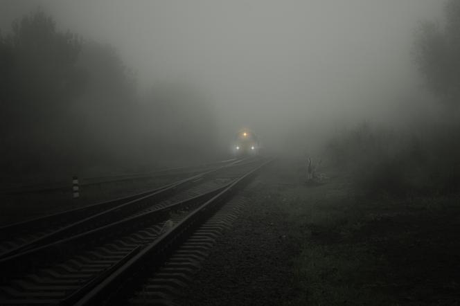 Gdynia od lat zajmuje wysoką pozycje w rankingach dotyczących jakości powietrza.