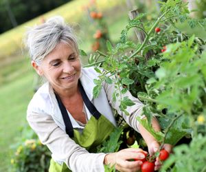 Quiz dla  doświadczonych kobiet. Twoja babcia rozgromi ten quiz, a ty? Kiedyś każdy znał odpowiedzi na te pytania, dziś większość polegnie na pytani4 numer 4