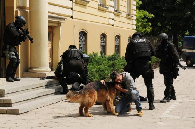 Komisarz Alex 4 sezon odcinek 40 (odc. 1). Michał Orlicz (Antoni Pawlicki)