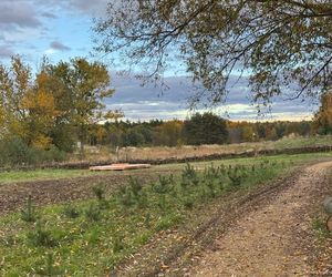 Serenity Park w Mysłowicach to nowe miejsce wypoczynku na Śląsku