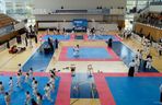 VI Otwarte Mistrzostwa Wilkopolski w Karate Tradycyjnym