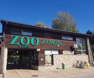 Zoo to jedna z najbardziej lubianych atrakcji Zamościa. Zobacz zdjęcia ze spaceru!
