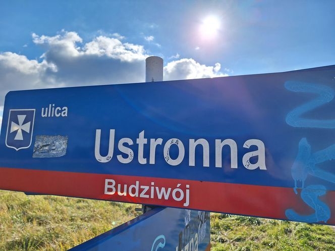 ul. Ustronna 