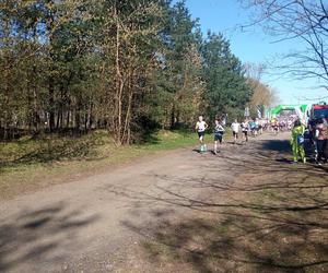 II edycja Bronek Run Forest Edition w Grudziądzu