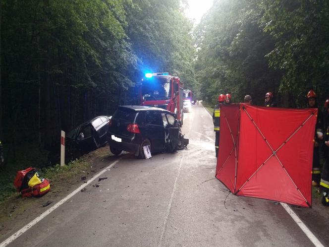 Tragiczny wypadek na trasie Hajnówka - Białowieża. Zginęła kobieta