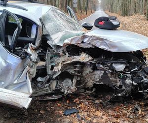 Skoda uderzyła w drzewo. 4-letnie dziecko trafiło do szpitala