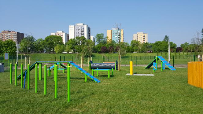 Park psiej aktywności w Sosnowcu