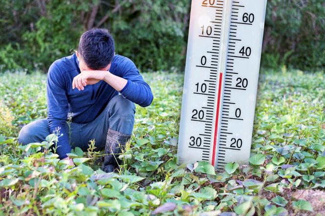 Rolnicy się wściekną. Straty nieuniknione. Nadciąga fala mrozów