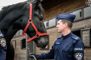 Nowe konie zasiliły śląską policję. To Donald i Rokita