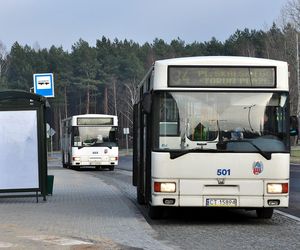 Od marca sprawniej do Aleksandrowa i Ciechocinka! MZK uruchamia nowe połączenia