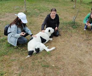 Studenci Wydziału Sztuki chcą wspomóc radomskie schronisko dla zwierząt 