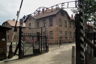 Incydent w czasie obchodów wyzwolenia Auschwitz-Birkenau. Nagrania z marszu Piotra Rybaka i narodowców trafiły do prokuratury