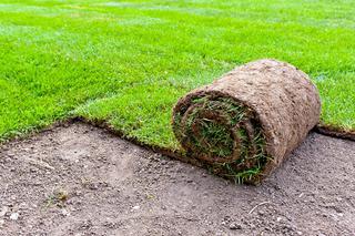 Układanie trawy z rolki, czyli jak w ekspresowym tempie założyć piękny trawnik 