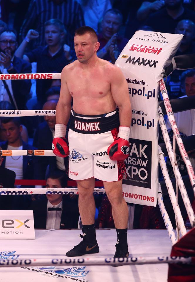 Tomasz Adamek w ringu