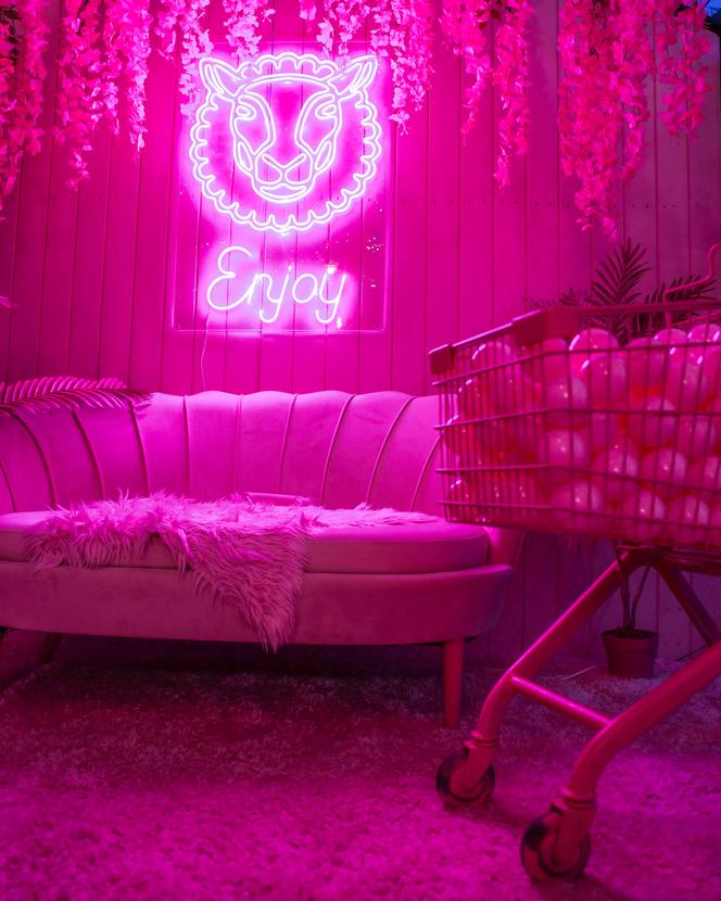 Różowa szklarnia w Bacówce najbardziej instagramowym miejscem na Podkarpaciu