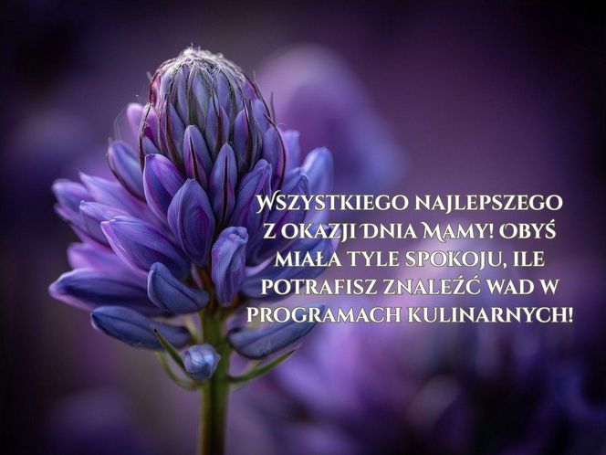 Życzenia dla teściowej na Dzień Mamy