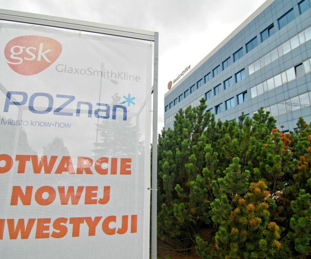 Zwolnienia grupowe w GSK. Winna sztuczna inteligencja! Tyle osób zostanie bez pracy