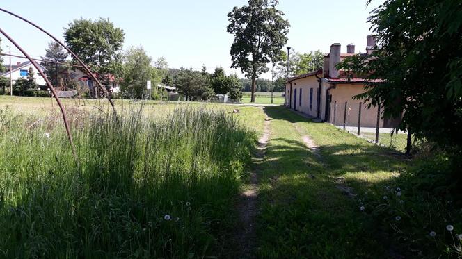 Marwałd – nieruchomość niezabudowana fot. 2