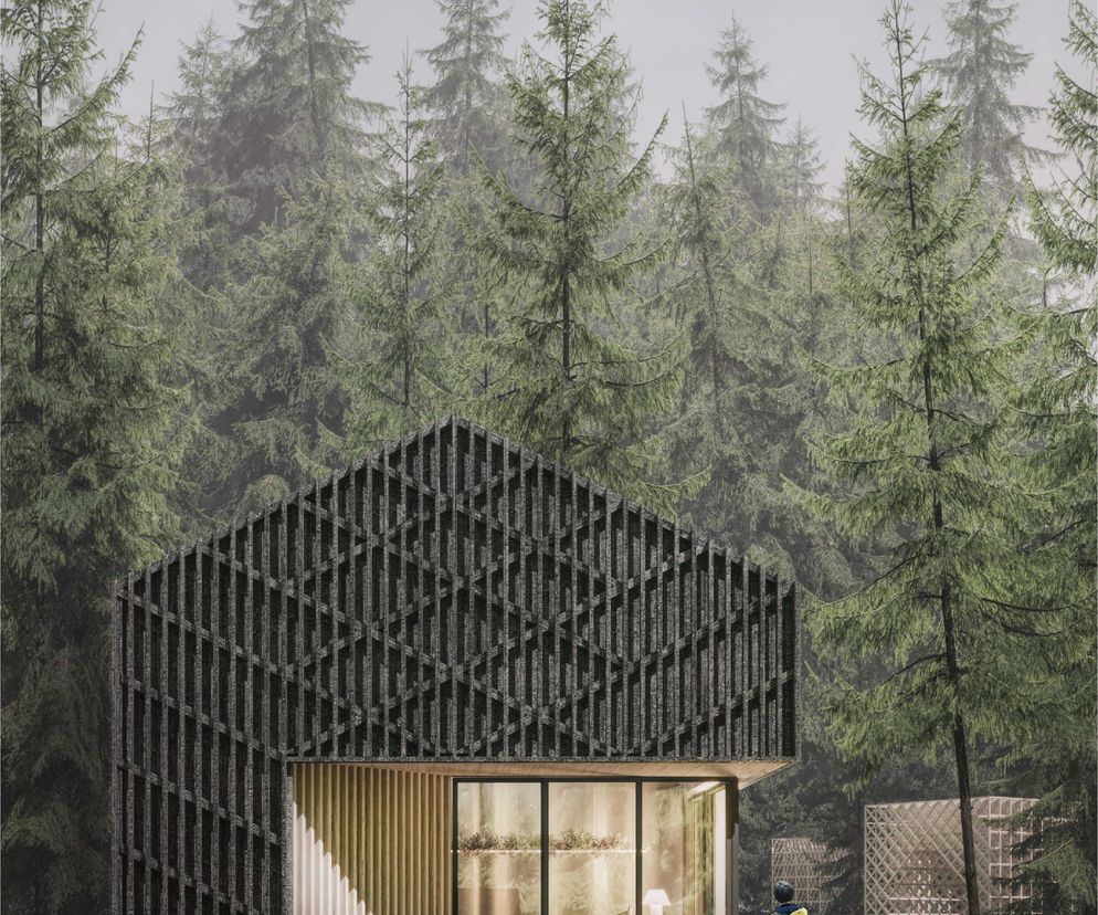 The Austra's Shelter. Wizualizacja elewacji frontowej