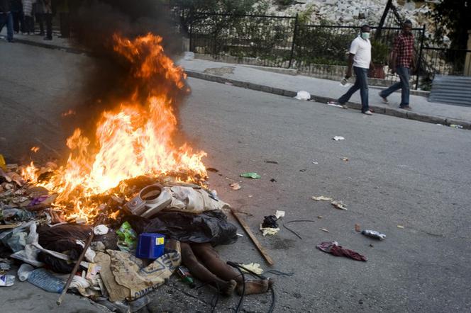 Haiti: Szabrownik ukarany