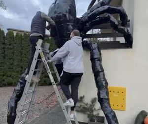 Gigantyczny pająk z plastikowych butelek ozdobił dom w Lublinie