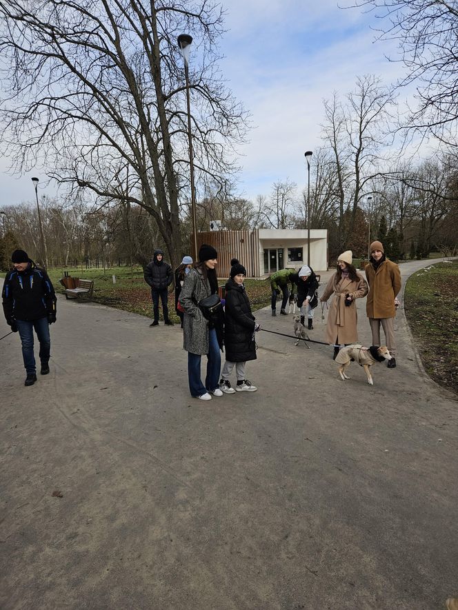 Chartoterapia dla WOŚP. Spacer charytatywny z pieskami po Parku Ludowym w Lublinie