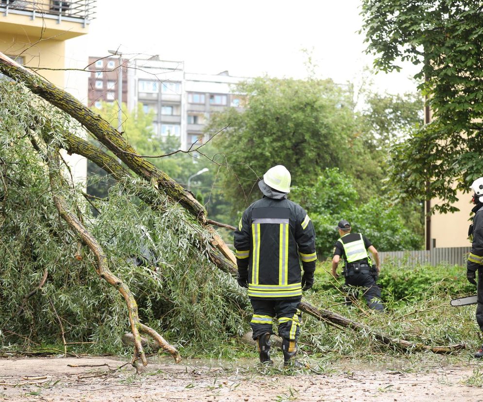 IMGW ostrzega. Południowa Polska na żółto i pomarańczowo. Zacznie się już w nocy! [Pogoda na jutro]