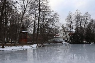 Zimowy spacer po roztoczańskim Zwierzyńcu