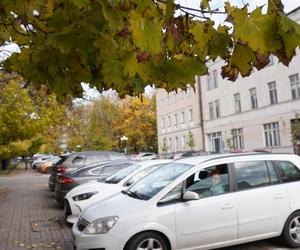 Kolorowe drzewa i klimatyczne kamienice. Ta ulica w Olsztynie zachwyca jesienią [ZDJĘCIA]