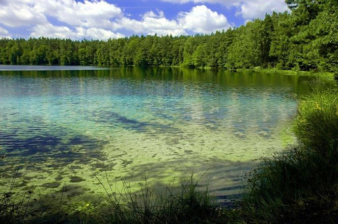 To jezioro na Mazurach ma nieskazitelnie czystą wodę. Nazywane jest „Polskimi Malediwami”