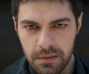 Wichrowe wzgórze 123 