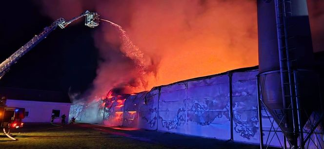 Ogromny pożar fermy drobiu w Fałkowicach. W ogniu mogło zginąć nawet 130 tysięcy kur