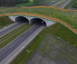 S11 Ujście – Oborniki z decyzją środowiskową. Co dalej? 