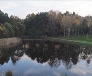 Idealne miejsce na jesienny spacer w Śląskiem - Kamień 