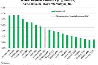 Taka Jest zdolność kredytowa