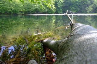 Jeziorka Duszatyńskie