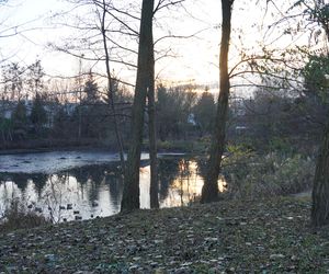 Tu powstanie kolejne miejske do rekreacji w Białymstoku. Tak obecnie wygląda staw przy Bema