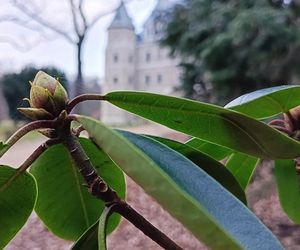 Sekatory, nożyce, grabie w ruch! W parku-arboretum w Gołuchowie zaczęły się prace rewitalizacyjne [POSŁUCHAJ]